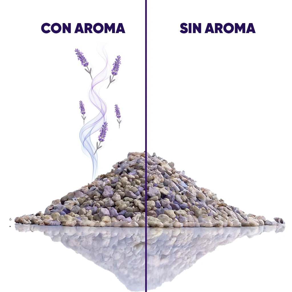 premuim-con-aroma-sin-aroma